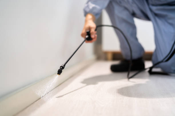 Licensed Cockroach Control service in Roodhouse, IL - Nex Pest Control