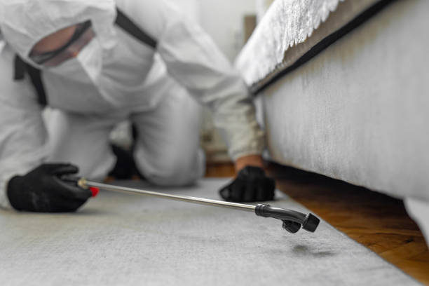 Professional Cockroach Control technician working in Roodhouse, IL