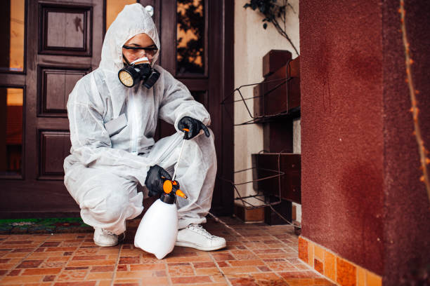 Reliable Cockroach Control contractor in Roodhouse, IL by Nex Pest Control