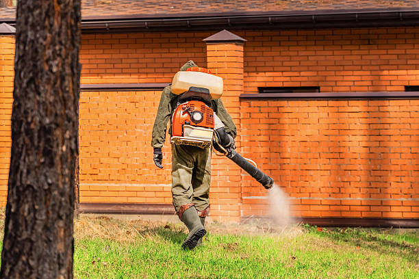 Top rated local Cockroach Control specialists in Roodhouse, IL